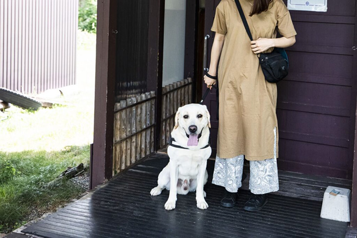 ドッグエントランスのイメージ