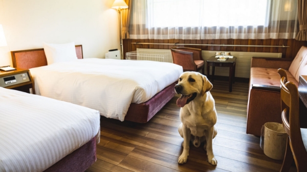 [本館]ペットフレンドリールームのイメージ画像